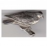 Pigeon  Silvery Spain  Metal. Uploaded by Granotius